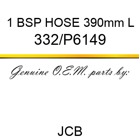 1 BSP HOSE 390mm L 332/P6149