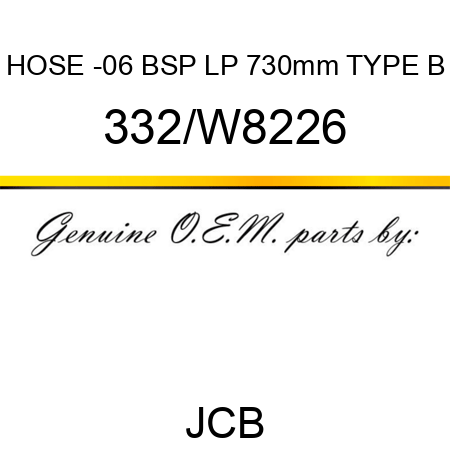 HOSE -06 BSP LP 730mm TYPE B 332/W8226