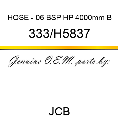 HOSE - 06 BSP HP 4000mm B 333/H5837