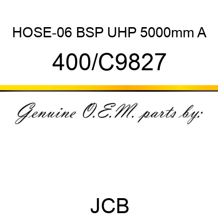 HOSE-06 BSP UHP 5000mm A 400/C9827