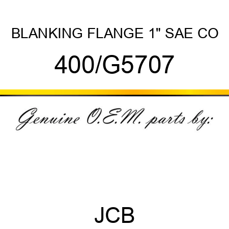 BLANKING FLANGE 1