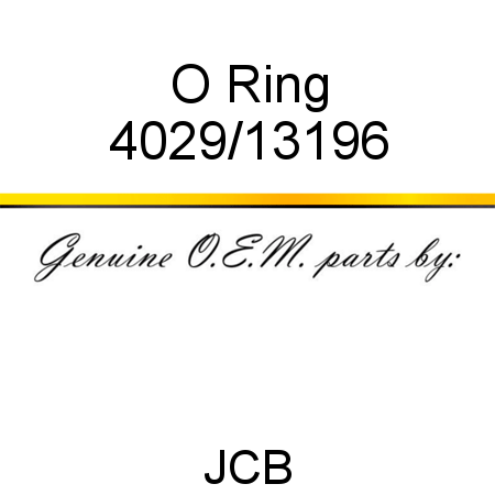 O Ring 4029/13196