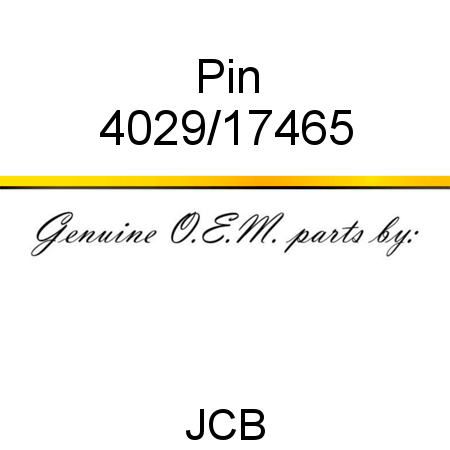 Pin 4029/17465