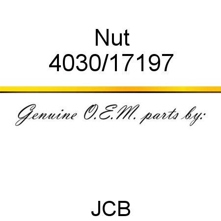 Nut 4030/17197