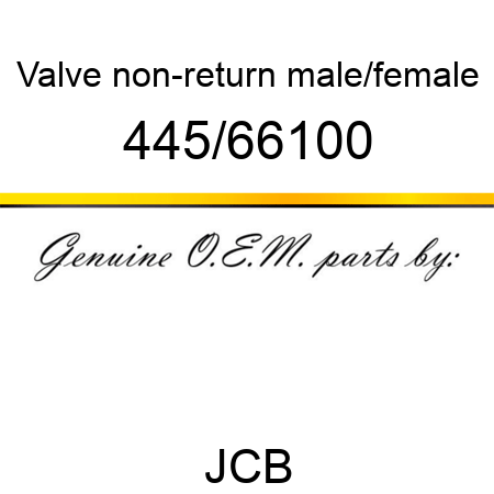 Valve, non-return, male/female 445/66100