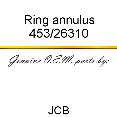 Ring, annulus 453/26310