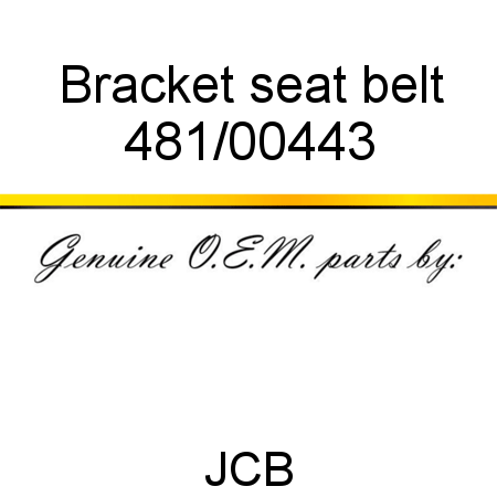 Bracket, seat belt 481/00443