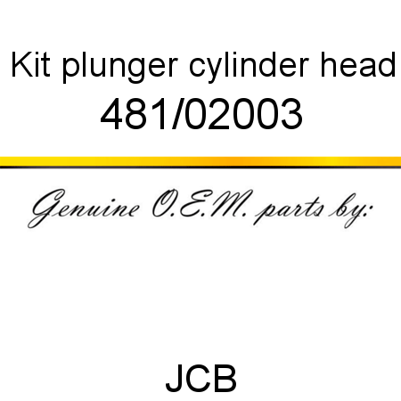 Kit, plunger, cylinder head 481/02003