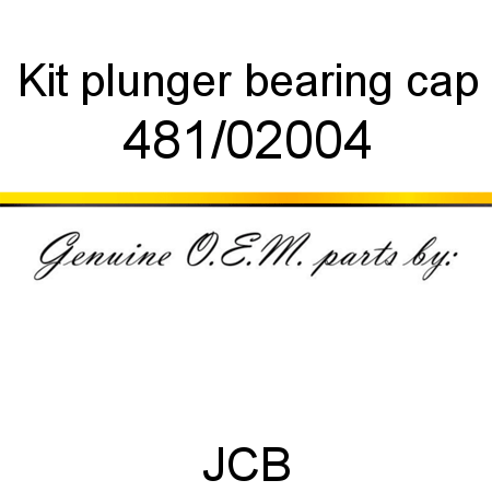Kit, plunger, bearing cap 481/02004