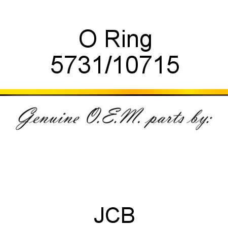 O Ring 5731/10715