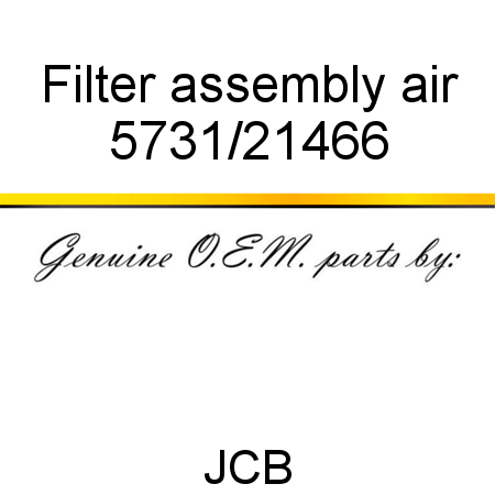 Filter, assembly, air 5731/21466