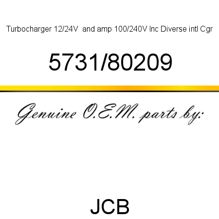 Turbocharger, 12/24V & 100/240V, Inc Diverse intl Cgr 5731/80209