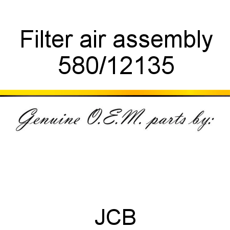 Filter, air, assembly 580/12135