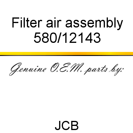 Filter, air assembly 580/12143
