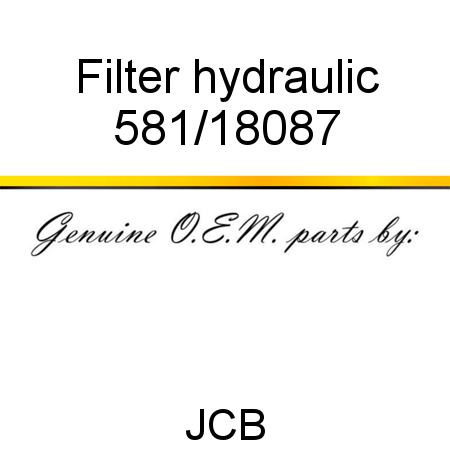Filter, hydraulic 581/18087