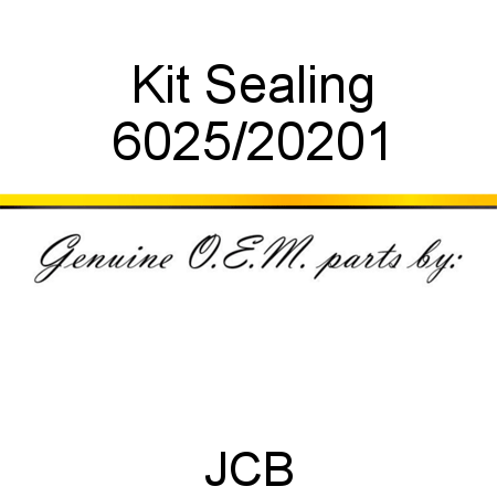 Kit, Sealing 6025/20201