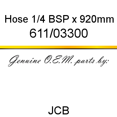 Hose, 1/4 BSP x 920mm 611/03300