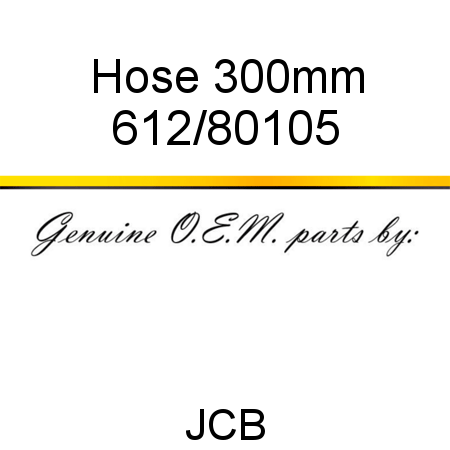 Hose, 300mm 612/80105