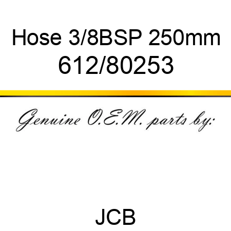 Hose, 3/8BSP 250mm 612/80253