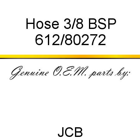 Hose, 3/8 BSP 612/80272