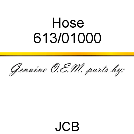 Hose 613/01000