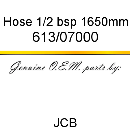 Hose, 1/2 bsp, 1650mm 613/07000