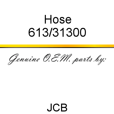 Hose 613/31300