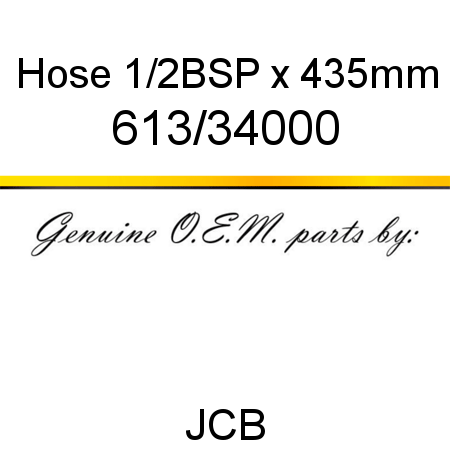 Hose, 1/2BSP x 435mm 613/34000