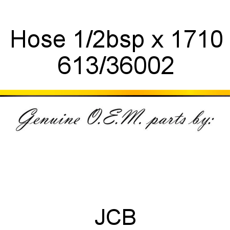 Hose, 1/2bsp x 1710 613/36002