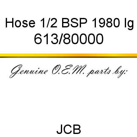 Hose, 1/2 BSP 1980 lg 613/80000
