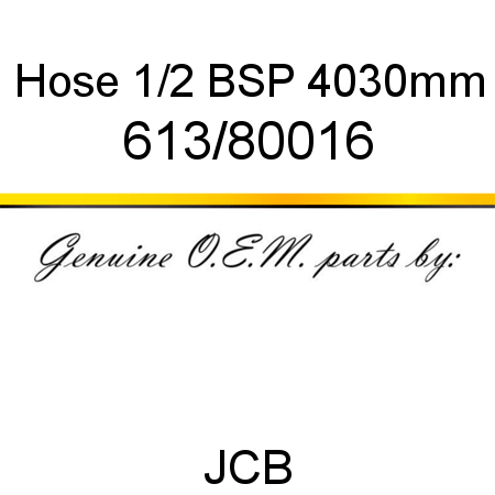 Hose, 1/2 BSP 4030mm 613/80016