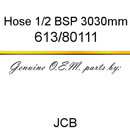 Hose, 1/2 BSP 3030mm 613/80111