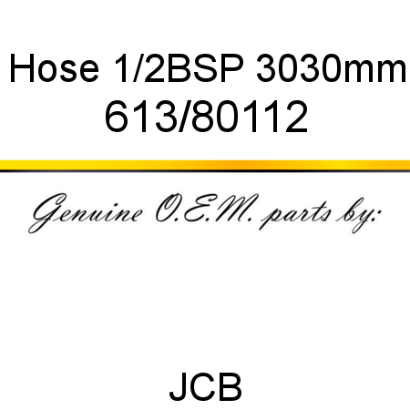 Hose, 1/2BSP 3030mm 613/80112