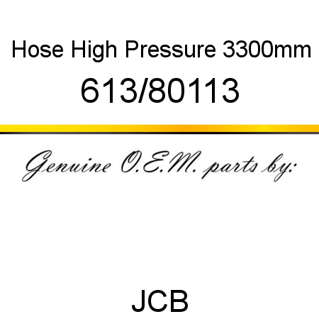 Hose, High Pressure, 3300mm 613/80113