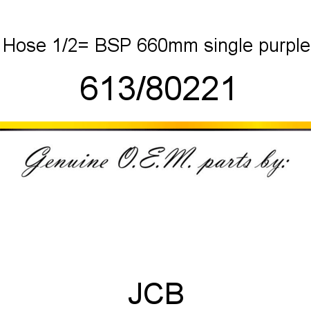 Hose, 1/2_ BSP 660mm, single purple 613/80221