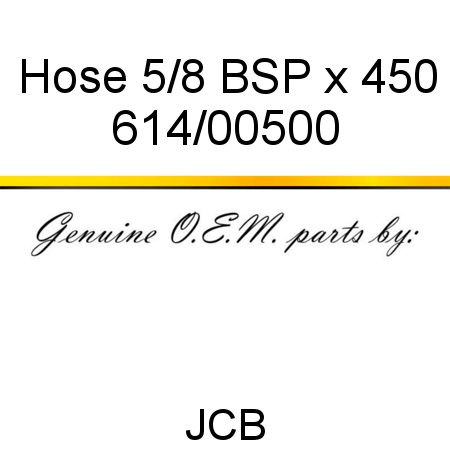 Hose, 5/8 BSP x 450 614/00500