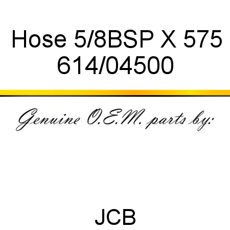Hose, 5/8BSP X 575 614/04500