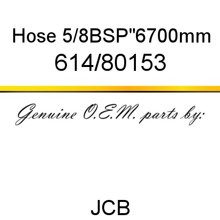 Hose, 5/8BSP