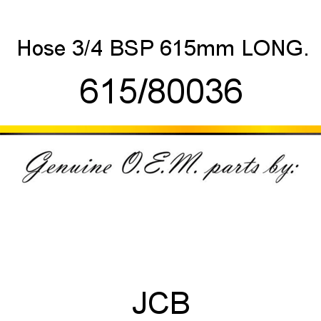 Hose, 3/4 BSP, 615mm LONG. 615/80036
