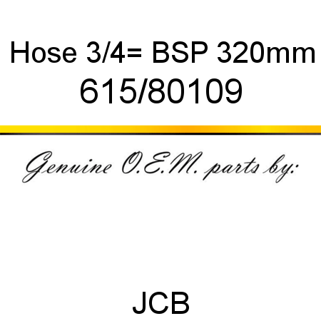 Hose, 3/4_ BSP 320mm 615/80109