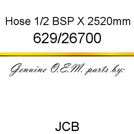 Hose, 1/2 BSP X 2520mm 629/26700