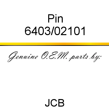Pin 6403/02101