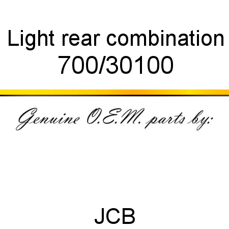 Light, rear combination 700/30100