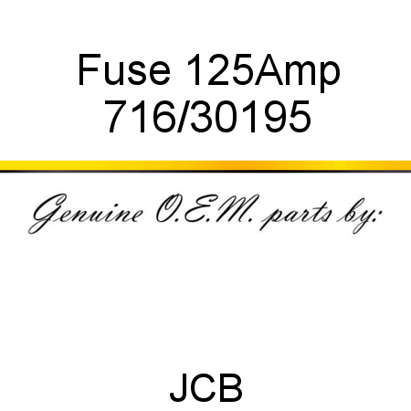 Fuse, 125Amp 716/30195