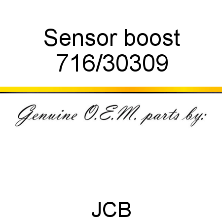 Sensor, boost 716/30309