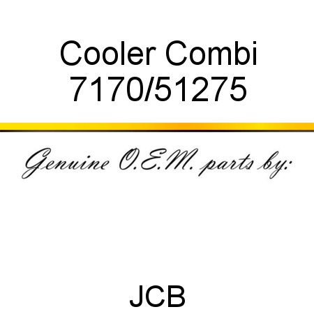 Cooler, Combi 7170/51275