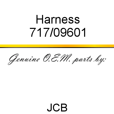 Harness 717/09601