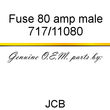 Fuse, 80 amp, male 717/11080