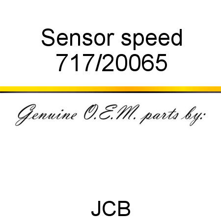 Sensor, speed 717/20065