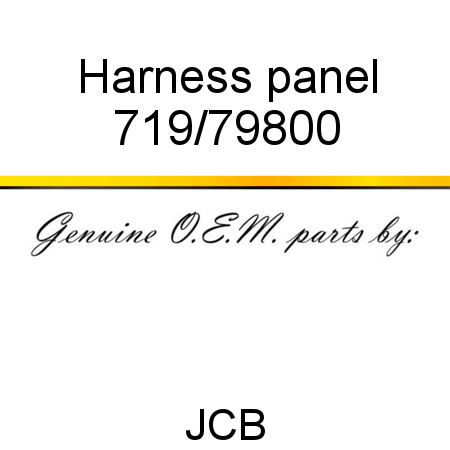 Harness, panel 719/79800